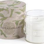 Zodax Grand Casablanca Glass Jar Scented Candle for Home Decor - 
Single-Wick Candle Ideal for Kitchen and Bathroom - Makes a Great Gift for 
Women and Men - Apricot Bloom Scent - 6.5 Oz.